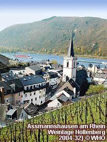 Assmannshausen am Rhein, Weinlage Hllenberg